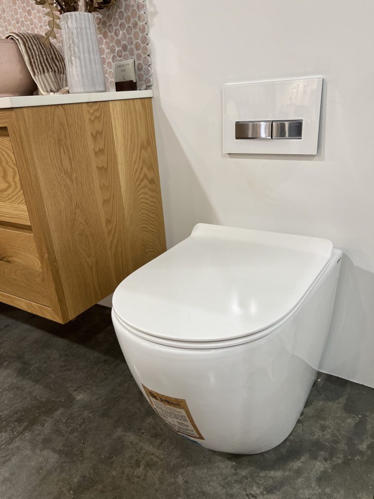 Alexander-R Rimless back to wall floor pan