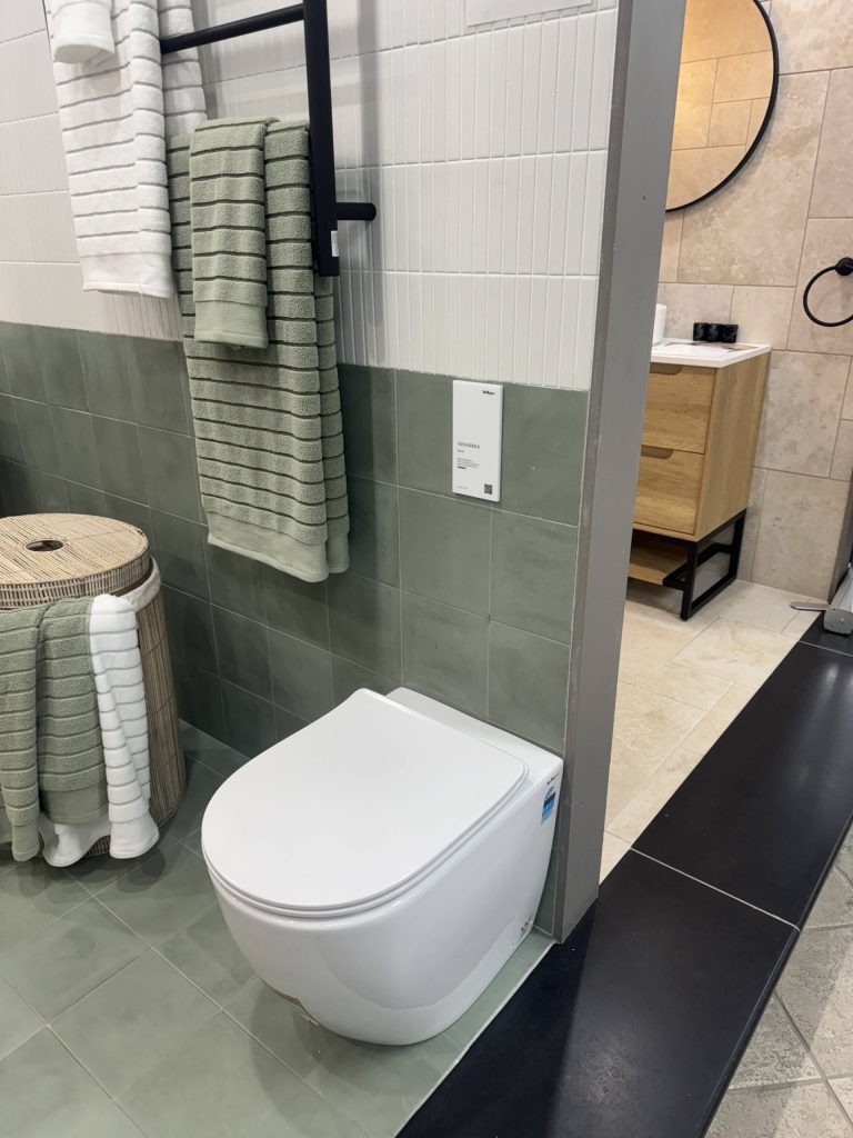 Alexander-R Rimless back to wall floor pan