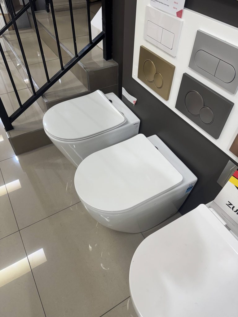 Alexander-R Rimless back to wall floor pan