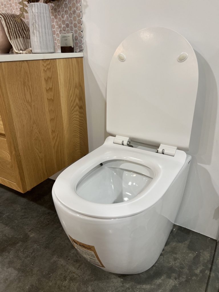 Alexander-R Rimless back to wall floor pan