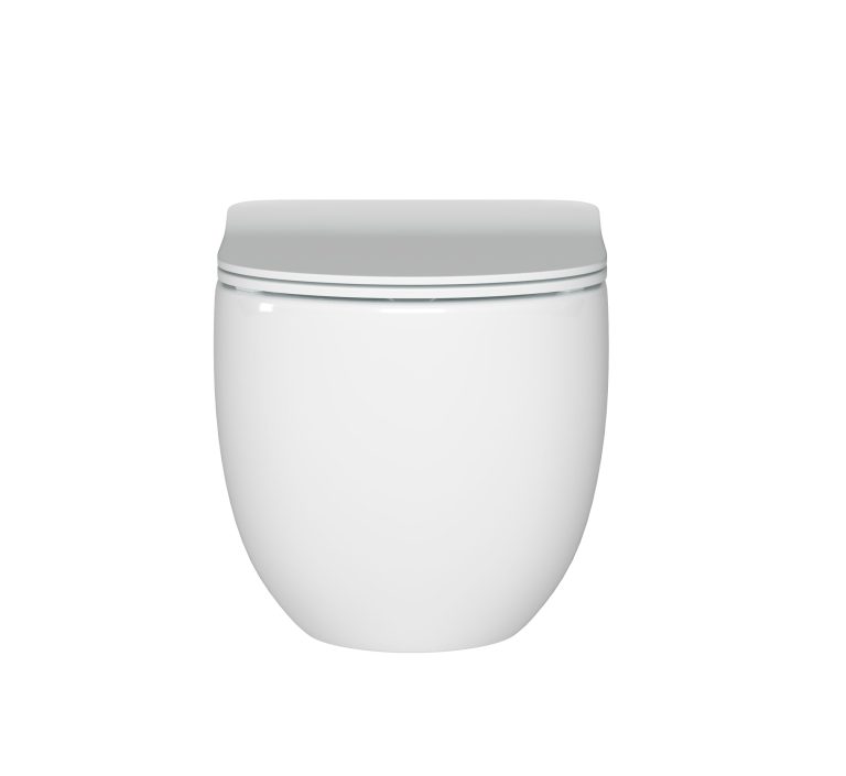 Alexander-R Rimless wall hung Pan