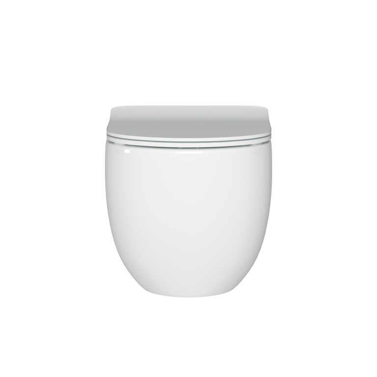 Alexander-R Rimless wall hung Pan