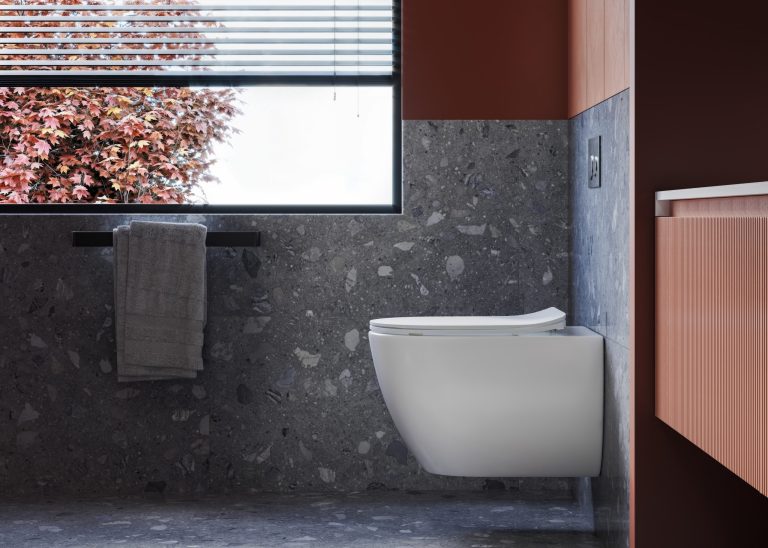 Alexander-R Rimless wall hung Pan