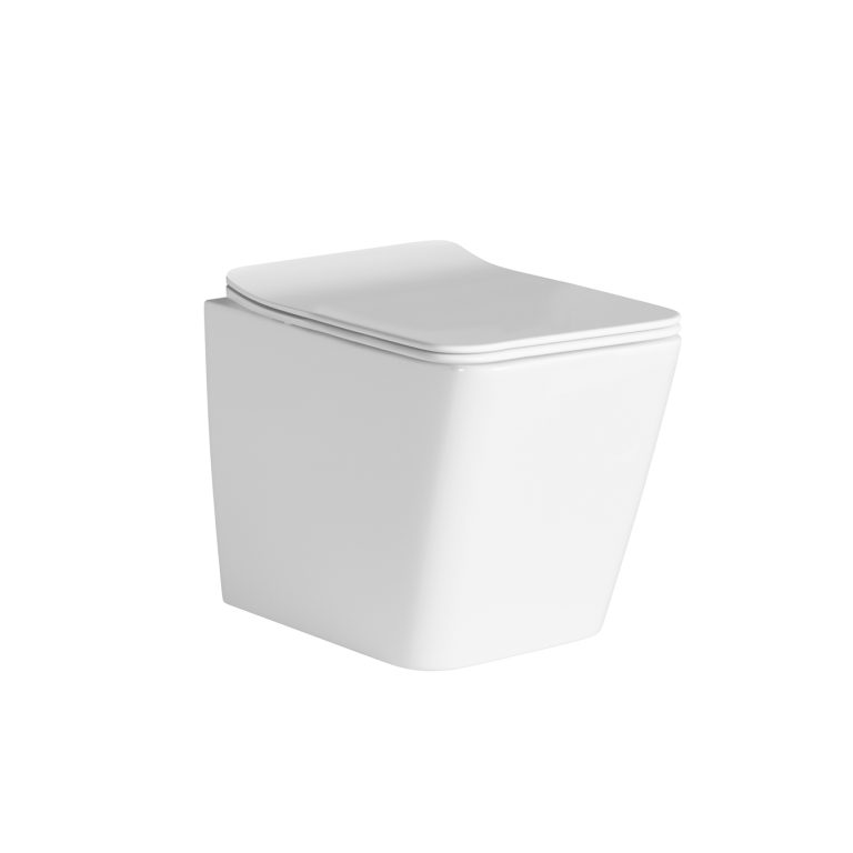 Ardente-R Rimless Wall Hung Pan