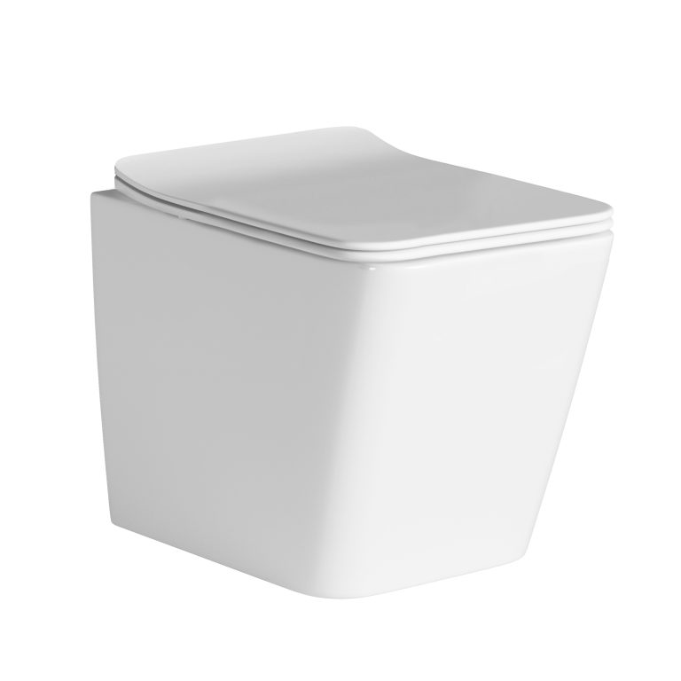 Ardente-R Rimless Wall Hung Pan