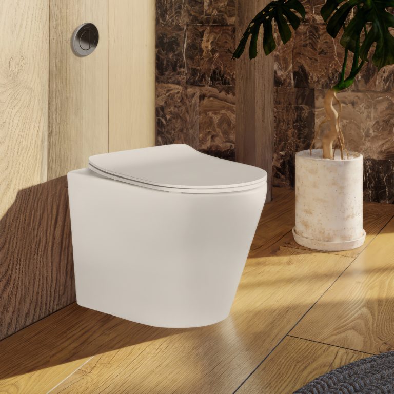 Flay-R Rimless back to wall floor pan