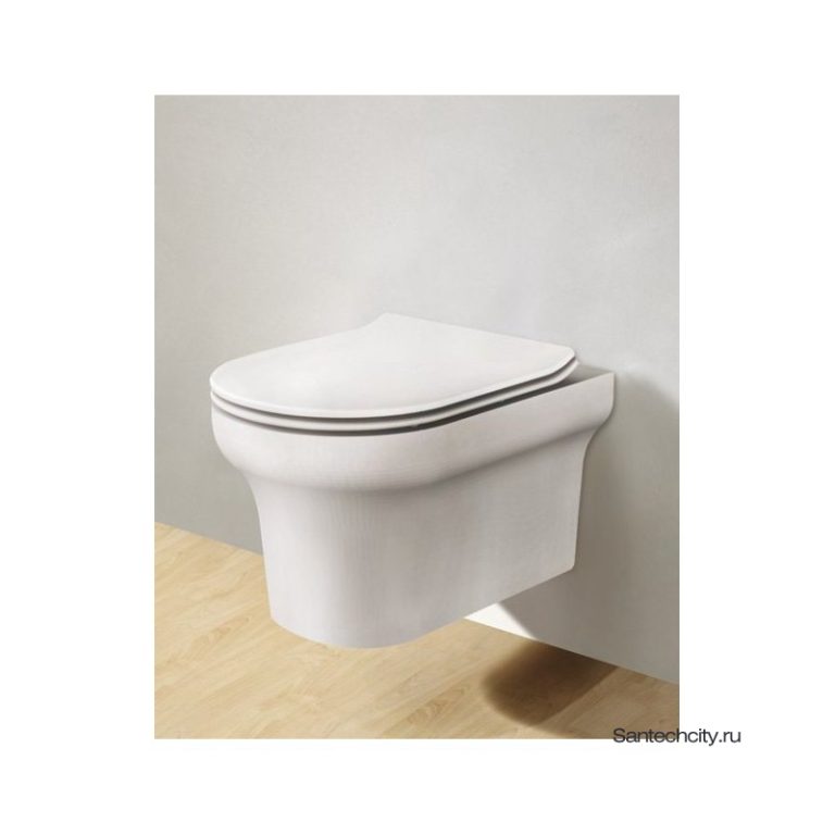 Vella Rimless wall hung pan